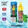 Disposable R&M Vape R&m Paradise 10000 Brands