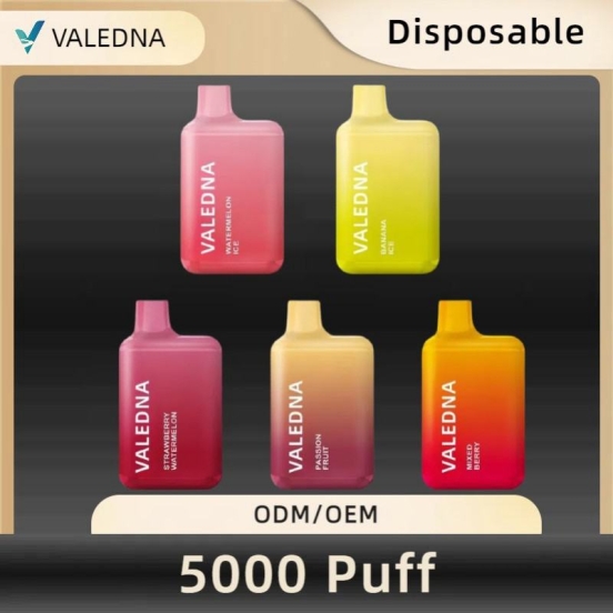 Hot Sale VALEDNA 004 5000 Puffs Vape Big Puff Pen Plus