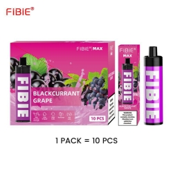 FIBIE 4000  Max About 4000 Puffs Vape Disposables