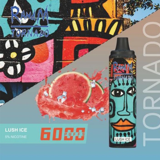 Premium Wholesale RandM/OEM/ODM Randm Tornado 6000 Puffs Vape