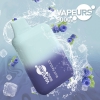 urs Puff Urs 5000 Puffs Disposable E-cigarette