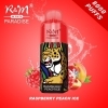 Vape Disposables Randm R&m Paradise 8000 9000 Puffs