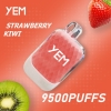yem Td95-15mini 9500 Puffs Brands Disposable Vape