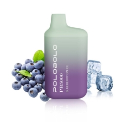 POLOBOLO Pb Disposable 5000 Puffs Bars