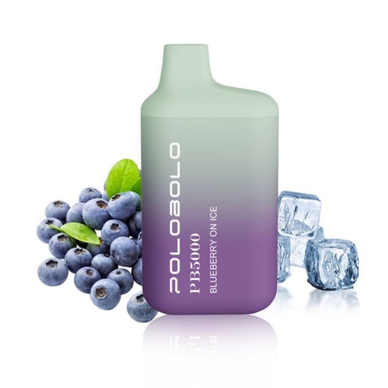 POLOBOLO Pb Disposable 5000 Puffs Disposable Pen