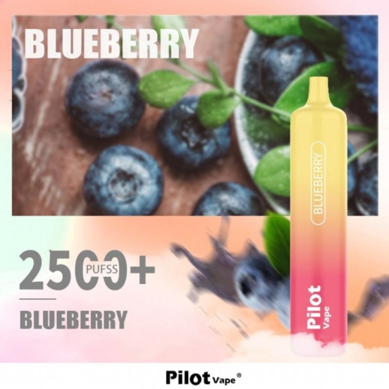 Cheap Pricing pilot 10000 10k Pilot 2500 10000 Puffs Vape Rechargeable