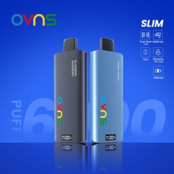 OVNS 848 Disposable Vape Device