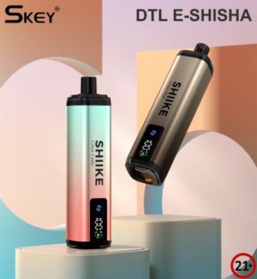 2024 Bulk Pricing Disposable Vape Skey or OEM Skey Shiike