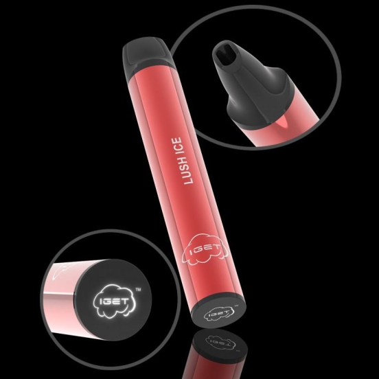 2024 Best Disposable Iget Shio Vape Pen Wholesale Price