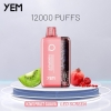 YEM Bm12s-10bs 12000 Puffs Vape Pen