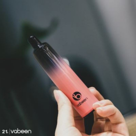 Good Price Vabeen Vabeen Plum 5000 Puffs Wholesale