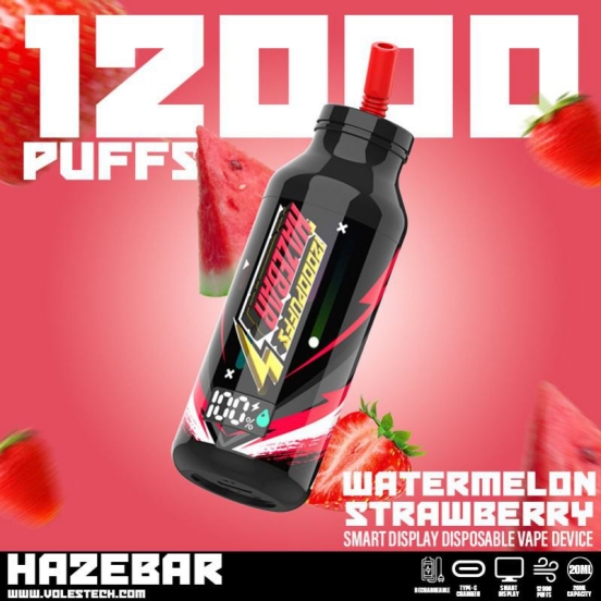 Best Vape Pen Voles Haze 12000 Puffs Vape Pens