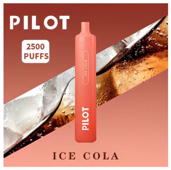 Disposable Vape Pens Wholesale Pilot 2500