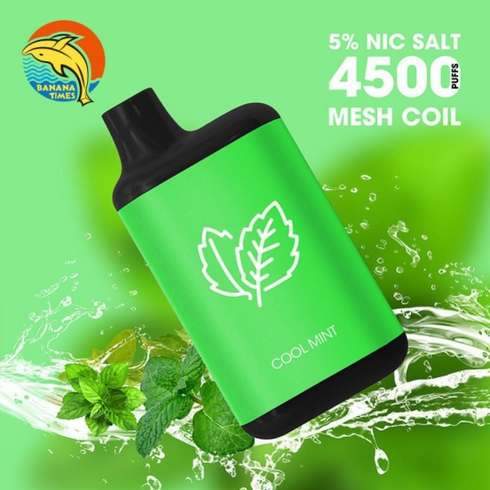 Superior Quality Wholesale Customized Bf02 10ml 4500 Puffs Disposable Vape Bars