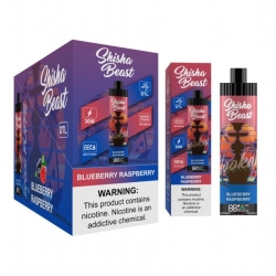 Disposable R&M Vape Pen