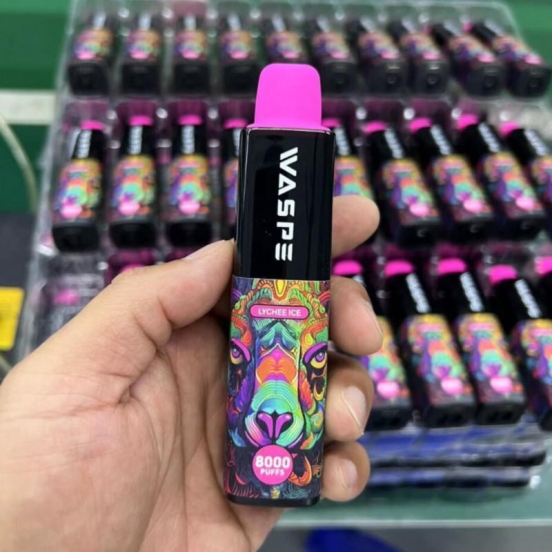 Wholesale Price Waspe 8000 Puffs Disposable Vape