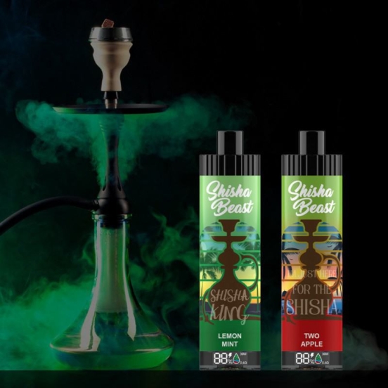 Original R&M Shisha Beast 20000 Dtl Electronic Cigarette