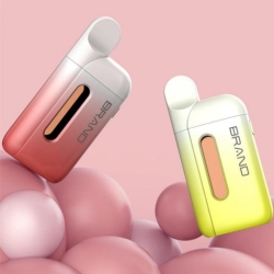 no Pen Bv6 5ml Disposable Vape