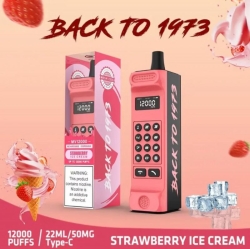  Call Me Back To 1973 Vape Big Puff Pen Plus