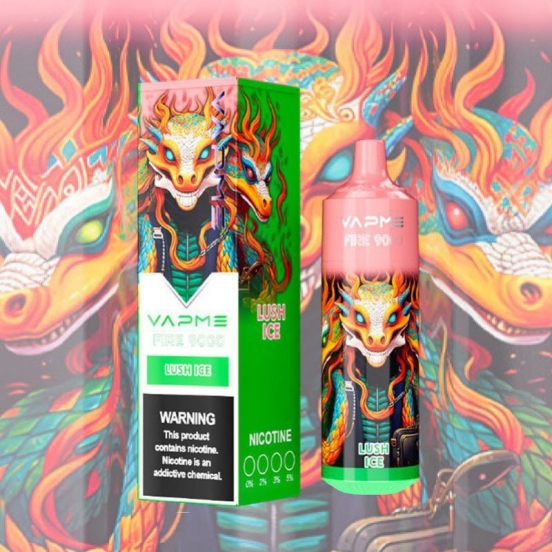 2024 Best Vapme Disposable Vape Brands King 9000