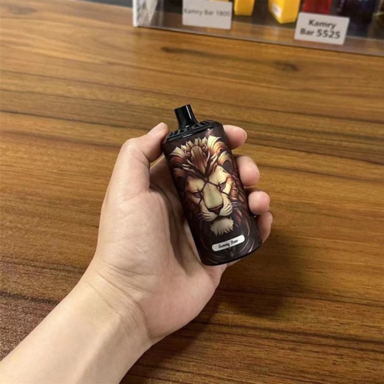 Bestseller OEM ODM 10000 Puffs Wholesale Price Disposable Vape Pen