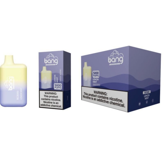 Hot Sale Disposable Bang Vape Bc4 Bars Wholesale