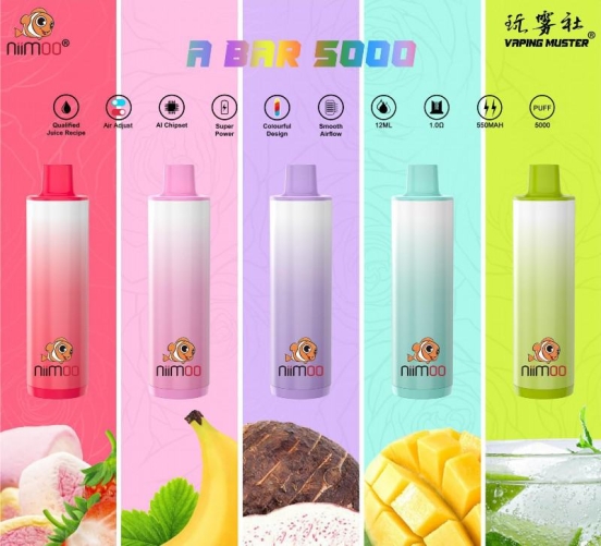 Hot Selling Niimoo Disposable Vape Ndad 5000 Puffs