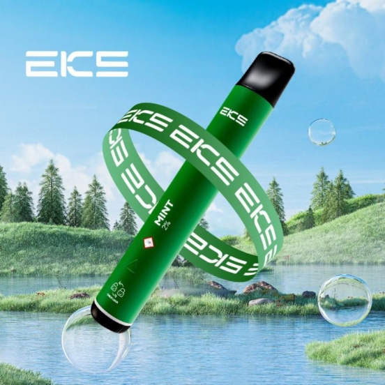 EKS Mini 800 Puffs Price Wholesale
