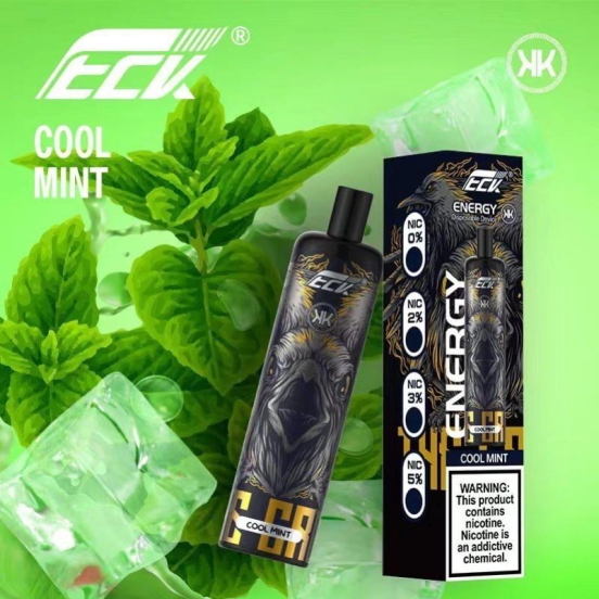 Baish Ljoy 8000 Bars