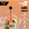 Disposable Vape urs Urs 600 Puffs Brands