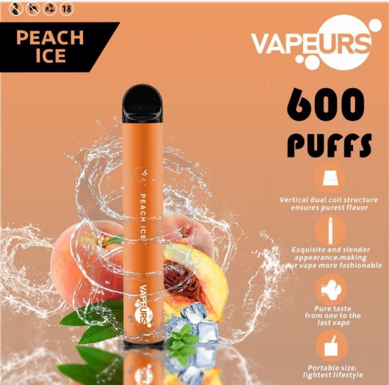 Disposable Vape Bar urs Urs 600 Puffs Wholesale