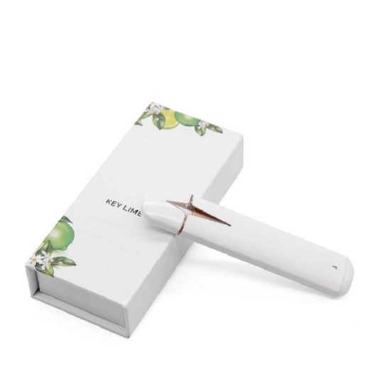 2024's Premium Vape Pen rixe Rechargeable 2ml Pod Wholesale