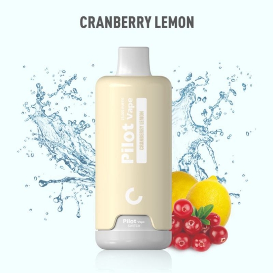 Wholesale CKS Cks 35000 Vape