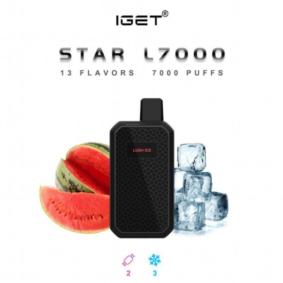 Best Quality Iget Star L7000 Hits Vape