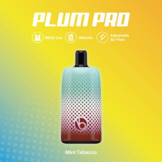 2024 Bulk Price VABEEN Vabeen Plum Pro 7000 Puffs Disposable Vape Pen Wholesale