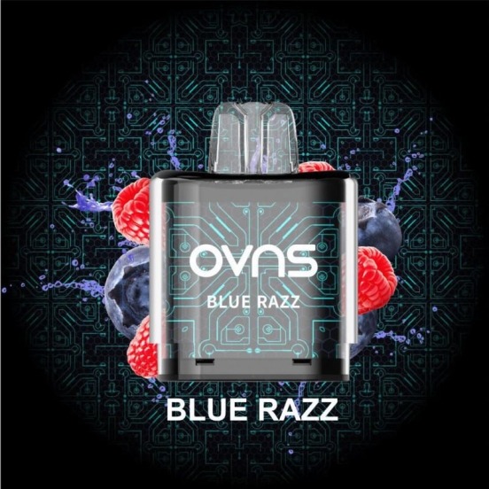 2024 Best Vape OVNS 848 10000 Puffs Wholesale Price Vape