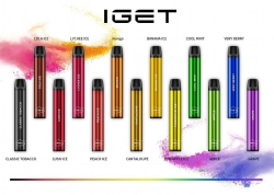 Iget Shion 600 Puffs Smooth Hit Disposable Vape