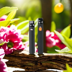 Big Puff Pen Plus Magnum N40/n41 Vape