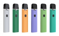 Disposable B-BOX E-cigarette Niche (2.0ml) Nicotine