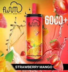  Disposable Vape 6000 Puffs