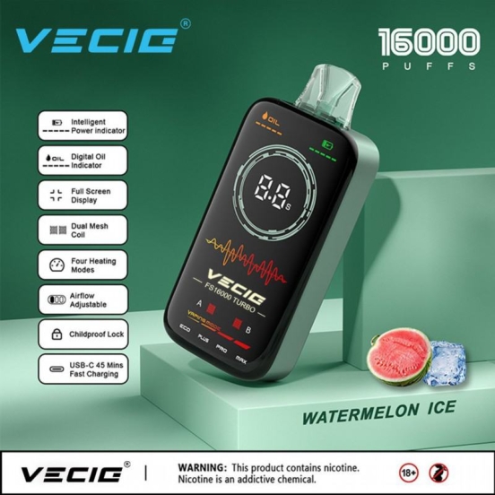 Disposable VECIG Vape Vecig Fs Turbo 16000 Puffs Pens Wholesale