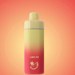 Disposable Vape Pens Fume Mesh Coil Disposable