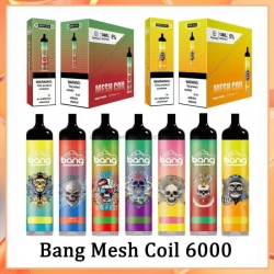 Bang Mesh Coil 6000 Puffs Disposable Vape Brands