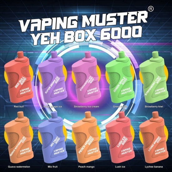 Niimoo Disposable Vape Wholesale Ndybox 6000 Puffs