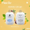 Baish Vabeen Flex Air 5000 Vape Disposables