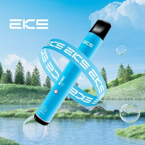EKS Mini 800 Puffs Price Wholesale