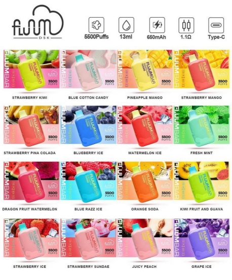 OEM Puff 5500 Fluum Disposable E-cigarette