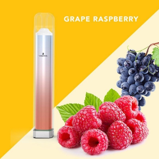 Vaplos V10 800 Puffs Disposable Vape Pens Wholesale