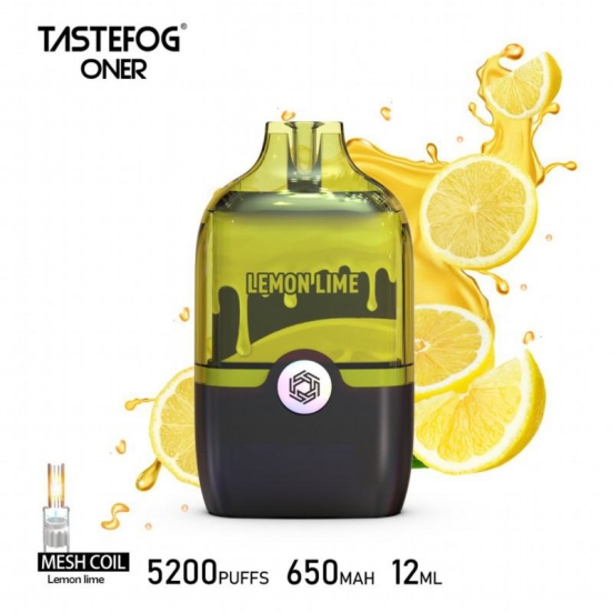 2024 Best Selling Wholesale Disposable Vape Pens Tastefog 5200 Puffs