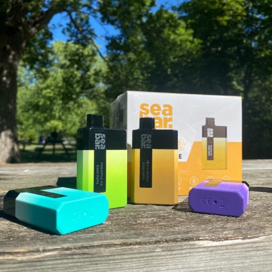 Competitive Pricing SEA Bar Vape Sea 5500